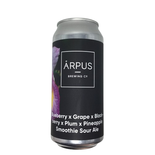 Blueberry X Grape X Blackberry X Plum X Pineapple Smoothie Sour Ale